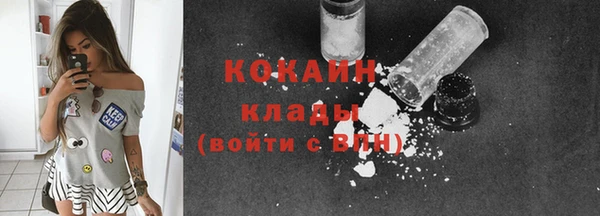 стаф Вязьма