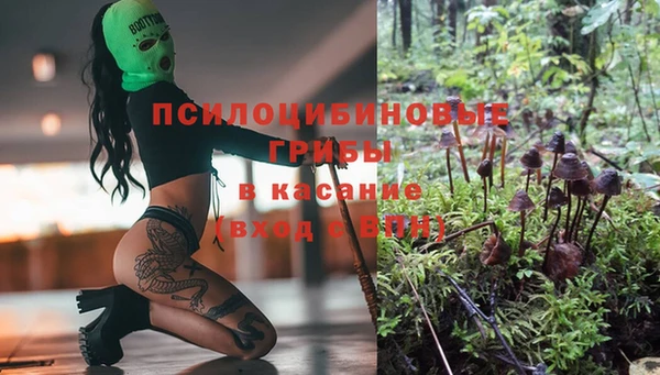 а пвп мука Пересвет