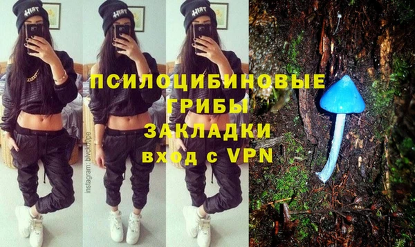 тгк Переславль-Залесский
