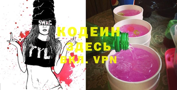 стаф Вязьма